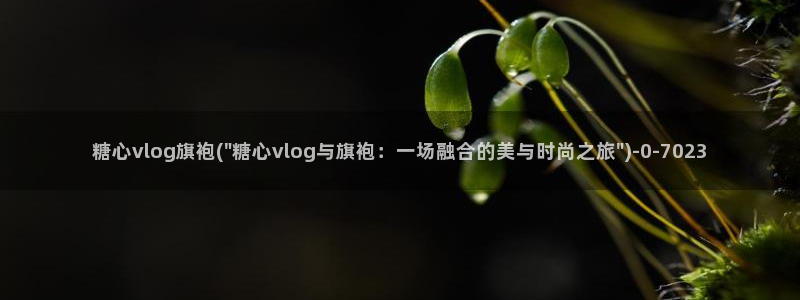 糖心vlog出品ios