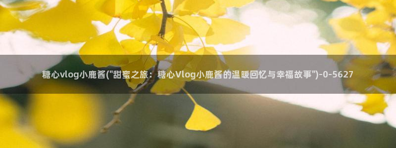 糖心vlog未满十八下