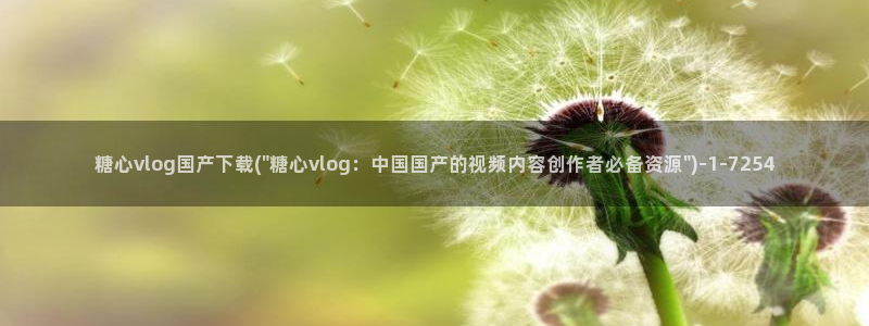 旧版糖心vlog官网
