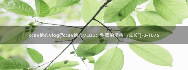 糖心vlog车牌号