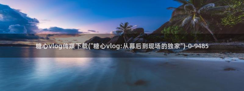糖心vlog无需下载