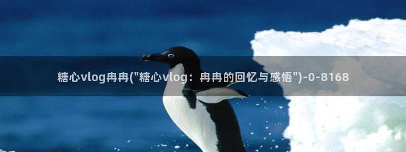 糖心vlog网页免费