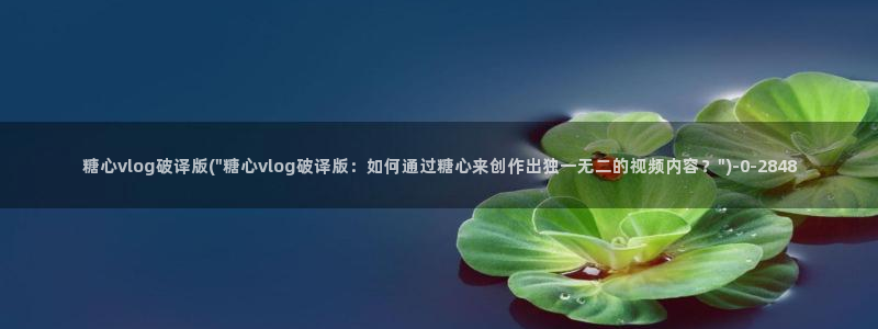 糖心vlog在线观看星辰