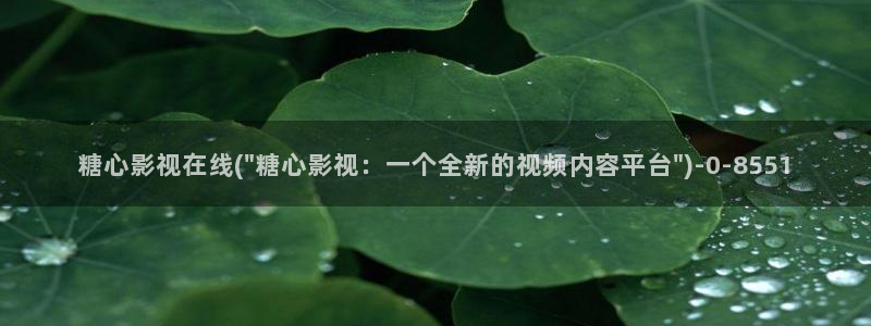 糖心vlog人口