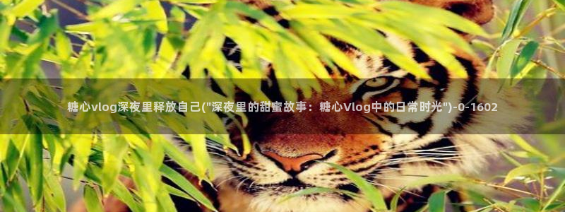 糖心vlog最新下载