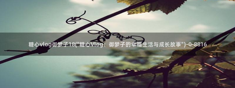糖心短视频vlog