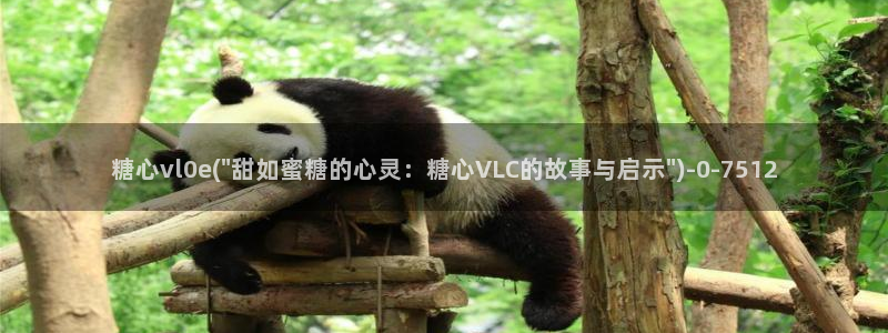 糖心vlog视频在线下载