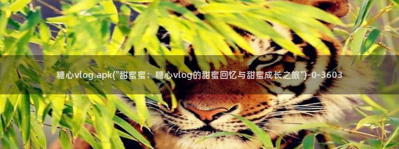糖心 vlog