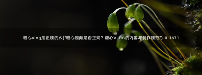 糖心恬恬vlog在线观看