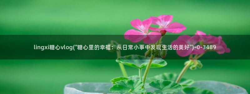 糖心vlog一区二区三区四区